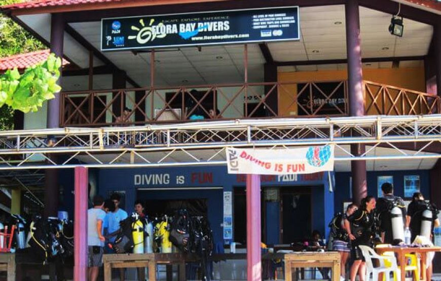 Flora Bay Perhentian Scubahive